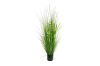 Picture of ARTIFICIAL PLANT Onion Grass (48cm/150cm)