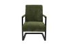 Picture of PARAMOUNT Corduroy Fabric Arm Chair (Green)