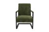 Picture of PARAMOUNT Corduroy Fabric Arm Chair (Green) - Each