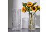 Picture of GLACIER-SHAPED Glass Vase (Transparent) - Short