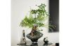 Picture of VALLEY  Special-Shaped Glass Vase (Grey) - Tall