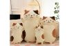 Picture of CUTE CHEESE CAT Plush Toy - Small