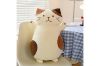Picture of CUTE CHEESE CAT Plush Toy - Small