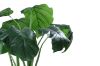 Picture of ARTIFICIAL PLANT Taro (60cm Tall)