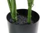 Picture of ARTIFICIAL PLANT Taro (60cm Tall)