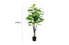 Picture of ARTIFICIAL PLANT Fiddle Leaf (Black Plastic Pot) - 120cm Tall