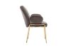 Picture of OLA Velvet Dining Armchair with Golden Legs (Brown)