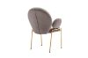 Picture of OLA Velvet Dining Armchair with Golden Legs (Brown)