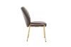 Picture of OLA Velvet Lounge Chair with Golden Legs (Brown) - 2 Chairs in 1 Carton