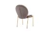 Picture of OLA Velvet Lounge Chair with Golden Legs (Brown) - 2 Chairs in 1 Carton