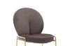 Picture of OLA Velvet Lounge Chair with Golden Legs (Brown) - 2 Chairs in 1 Carton