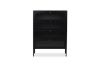 Picture of STARK 4-Door Glass Shoe Cabinet (Black)