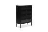 Picture of STARK 4-Door Glass Shoe Cabinet (Black)