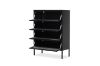 Picture of STARK 4-Door Glass Shoe Cabinet (Black)