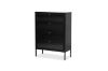 Picture of STARK 4-Door Glass Shoe Cabinet (Black)