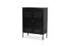 Picture of STARK 110cmx80cm 2-Arched Door Glass Cabinet (Black)