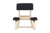 Picture of OSIRIS Ergonomic Kneeling Chair (Black)