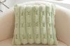 Picture of PLUSH Cushion with Inner (43cmx43cm) -Green