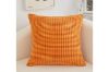 Picture of SIMPLE CORN GRAIN Plush Cushion with Inner in Multiple Colours (45cmx45cm) 