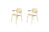 Picture of AVIVA Armchair  (Light Yellow) - 2PC in 1 Carton