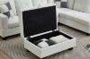 Picture of NEBULA Premium Sectional Sofa with Storage Ottoman -Chaise Facing Right (Off White)