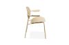 Picture of AVIVA Armchair  (Light Yellow) - 2PC in 1 Carton