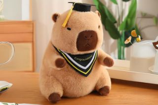 Picture of CAPYBARA Fabric Plush Toy - Doctor (Yellow)