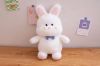 Picture of KAWA Dolls Plush Cushion - Teddy Bear