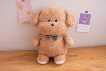 Picture of KAWA Dolls Plush Toys Plush Cushion - Khaki Puppy