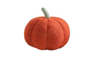 Picture of PUMPKIN Teddy Fabric Plush Cushion - Red