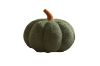 Picture of PUMPKIN Teddy Fabric Plush Cushion - Red