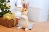 Picture of EASTER Bunny Plush Cushion Multiple Colors