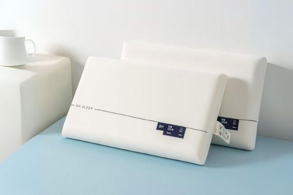 Picture of TRAN Memory Foam Bread Pillow