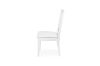 Picture of ARIZA Dining Chair (White)