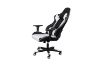 Picture of RAIDERS Swivel Gaming Chair (White with Black)