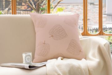 Picture of FRESH PUMPKIN Chenille Fabric Cushion with Inner in Multiple Colours (45x45cm) - Pink