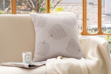 Picture of FRESH PUMPKIN Chenille Fabric Cushion with Inner in Multiple Colours (45x45cm) - Beige