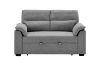 Picture of EIRA 2-Seater Pullout Sofa Bed