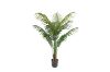 Picture of PALM TREE Artificial Plant with Pot  - 140CM