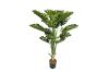 Picture of MONSTERA DELICOSA 120CM/150CM Tall Artificial Plant with Pot