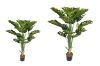 Picture of MONSTERA DELICOSA Artificial Plant with Pot - 150CM