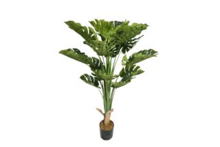 Picture of MONSTERA DELICOSA Artificial Plant with Pot - 150CM