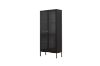 Picture of STARK Steel Frame 180x80cm 2-Door Transparent Glass Display Cabinet (Black)