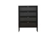 Picture of STARK Steel Frame 4-Door Transparent Glass Shoe Cabinet (Black)