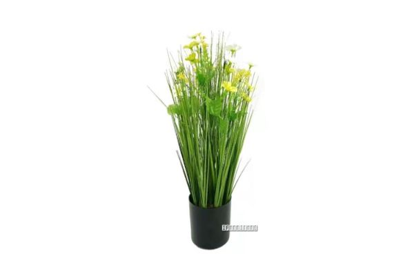 Picture of Onion Grass - 48cm