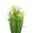 Picture of Onion Grass - 48cm