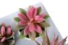 Picture of Set of 6 - ARTIFICIAL Gradient Succulent Plants with Cement Pots