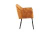 Picture of TAMPA Arm Dining Chair (Caramel) - Each