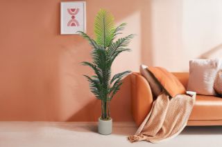 Picture of Artificial Potted Areca Palm Plant - H180cm