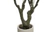 Picture of Artificial Potted Olive Plant - H230cm